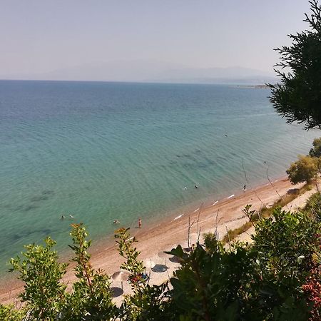 Koralli Sea View Hotel Kato Achaḯa Bagian luar foto
