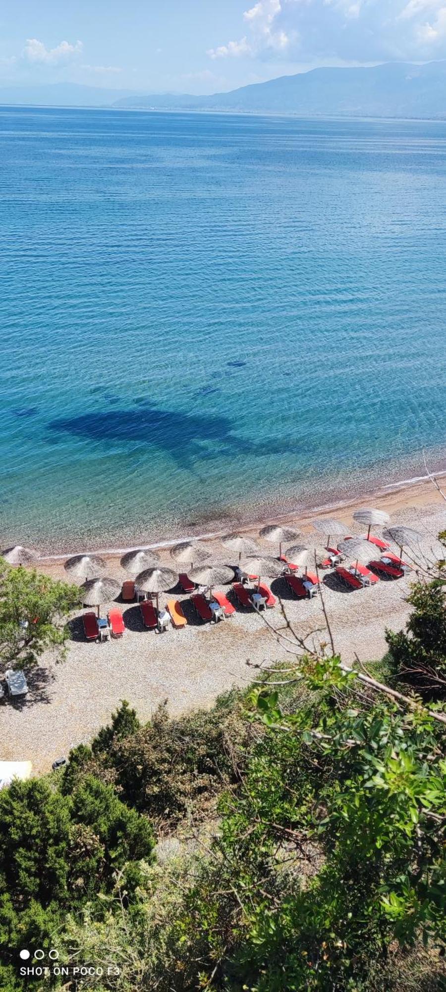 Koralli Sea View Hotel Kato Achaḯa Bagian luar foto